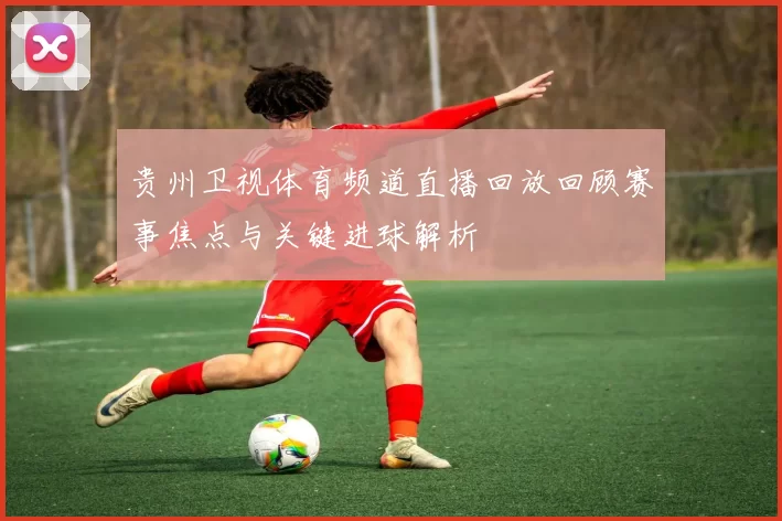 贵州卫视体育频道直播回放回顾赛事焦点与关键进球解析