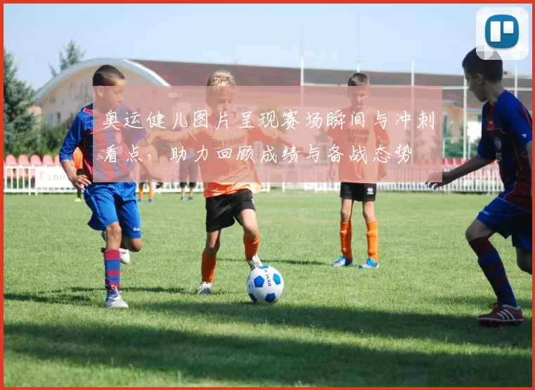 奥运健儿图片呈现赛场瞬间与冲刺看点，助力回顾成绩与备战态势