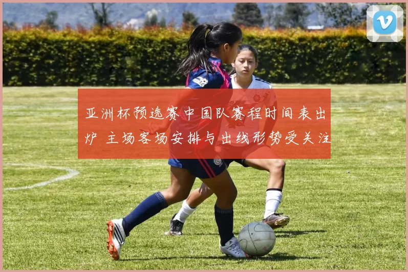 亚洲杯预选赛中国队赛程时间表出炉 主场客场安排与出线形势受关注