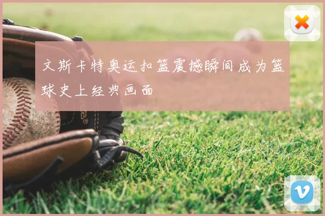 文斯卡特奥运扣篮震撼瞬间成为篮球史上经典画面